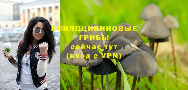 альфа пвп Богородск