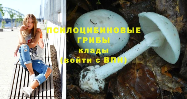 прущий лед Богородицк