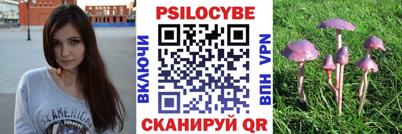 Псилоцибиновые грибы Cubensis  что такое   Валуйки 